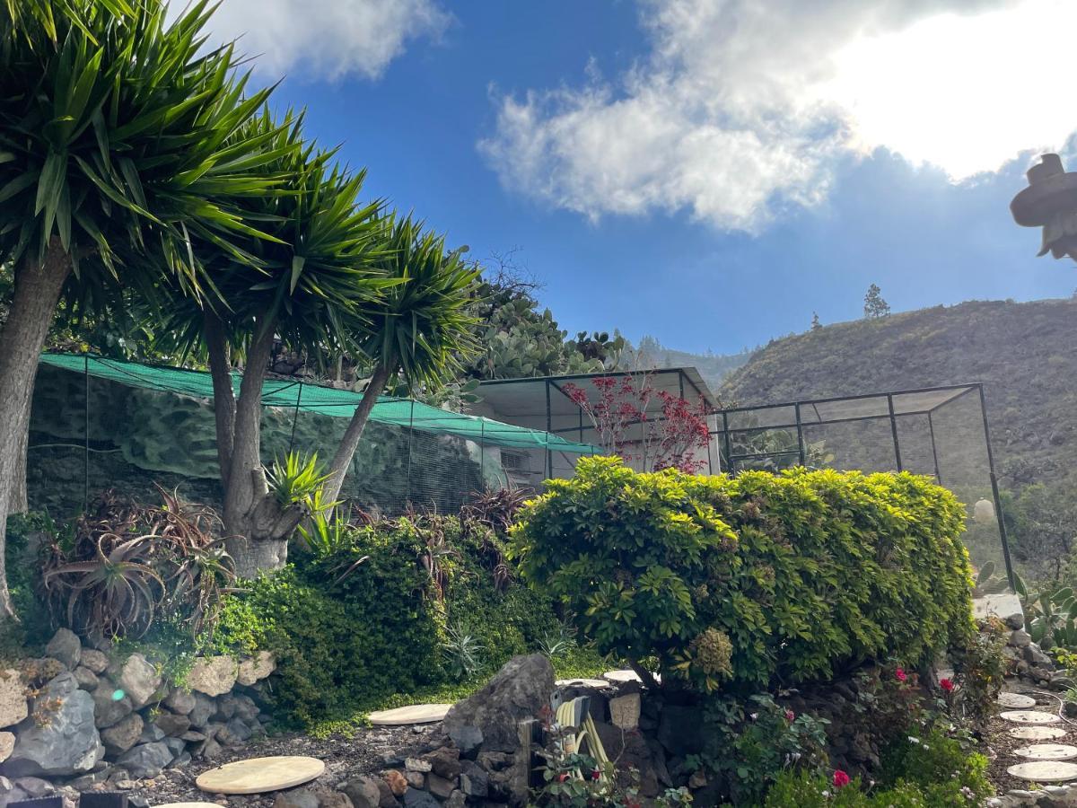 Casa Niagara Villa El Jaral Ngoại thất bức ảnh